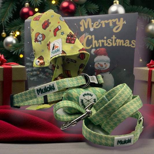 Kit Natale Sicurezza Completa Muloki – collare QR Code, guinzaglio e bandana Lola confezione natale