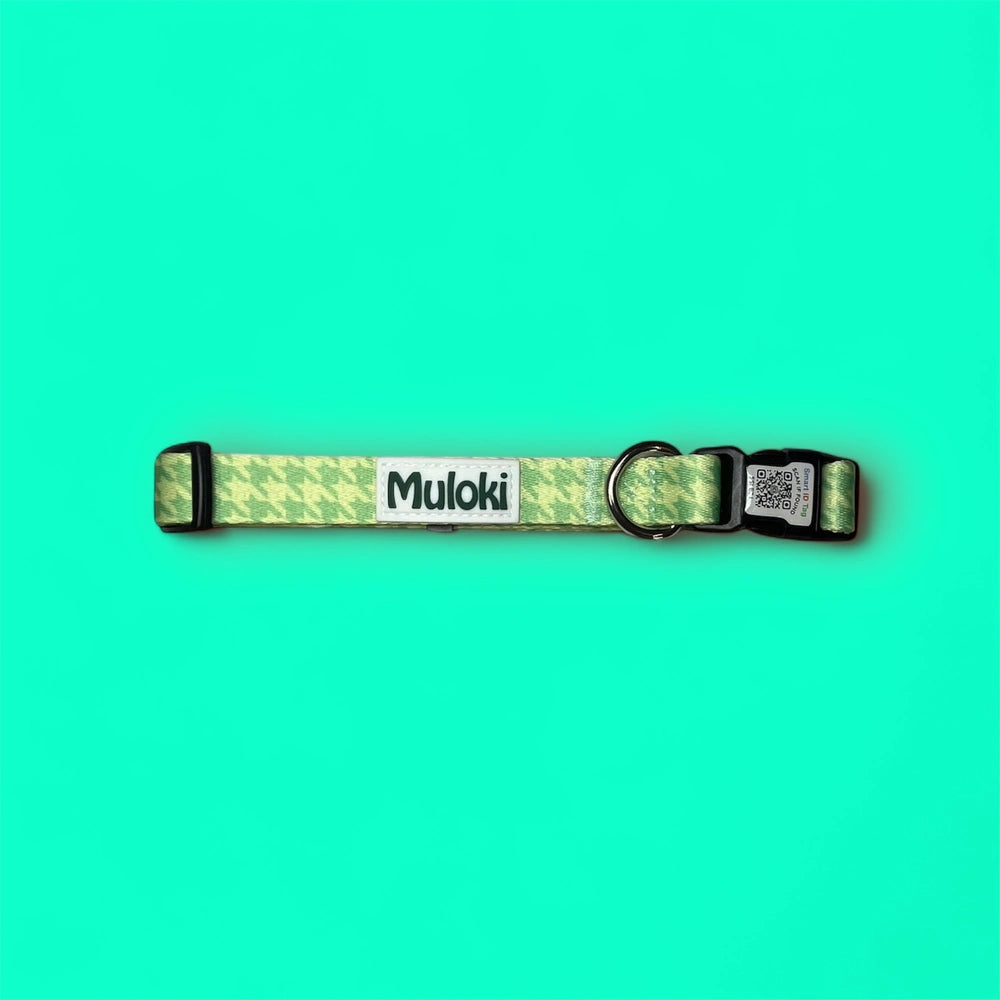 Collare con QR Code per cani Muloki – sicurezza intelligente e design elegante