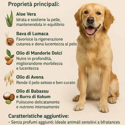 Ingredienti naturali del Gel Muloki – aloe, bava di lumaca e burro di kokum