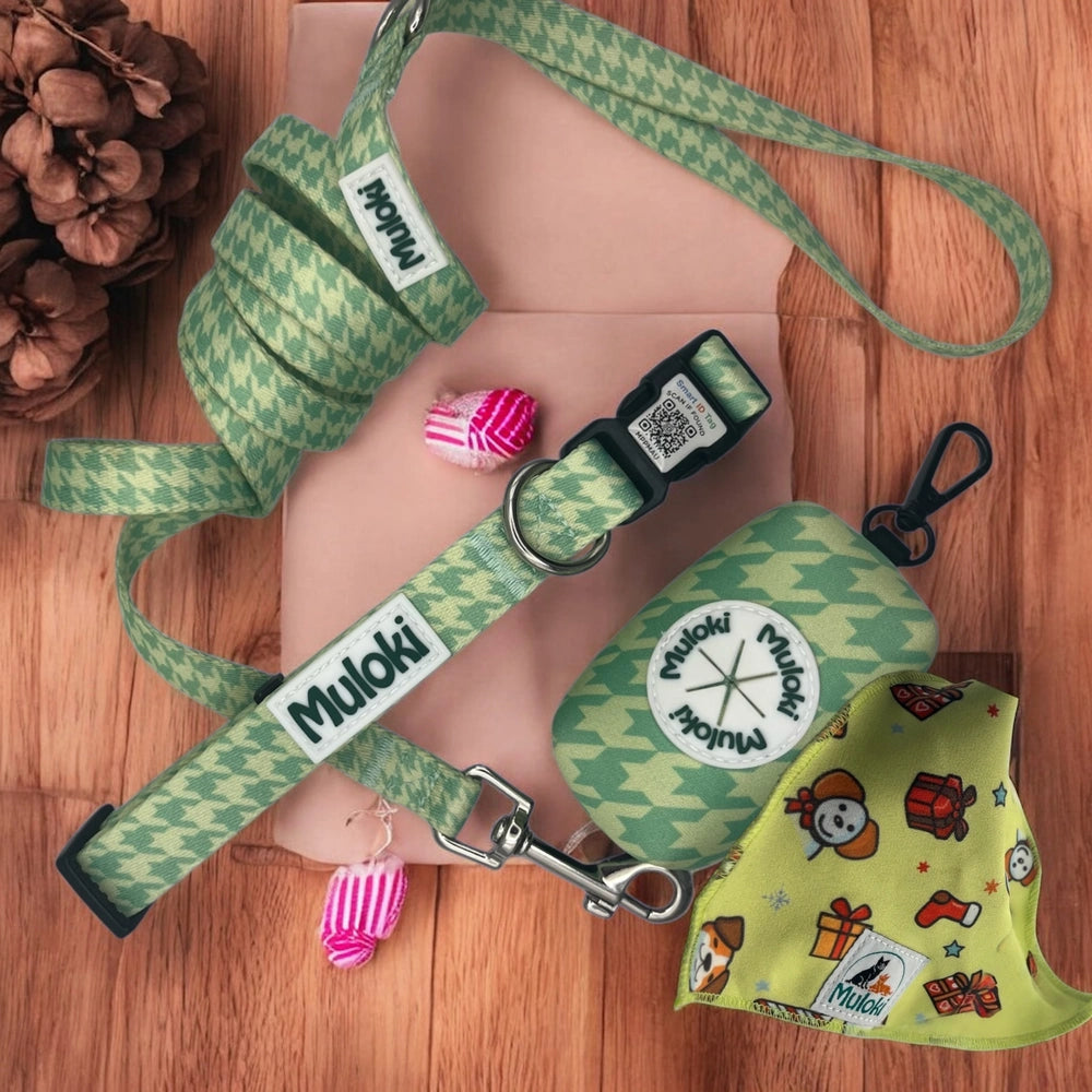 Kit Natale Sicurezza Completa Muloki – collare QR Code, guinzaglio e bandana Lola