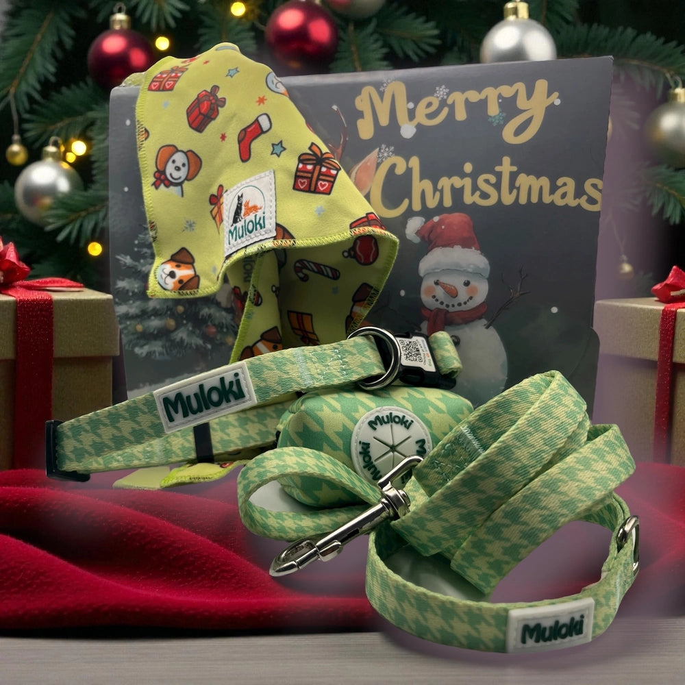 Kit Natale Sicurezza Completa Muloki – collare QR Code, guinzaglio e bandana Lola confezione natale