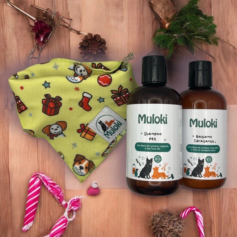 Shampoo e balsamo Muloki con ingredienti naturali e bava di lumaca