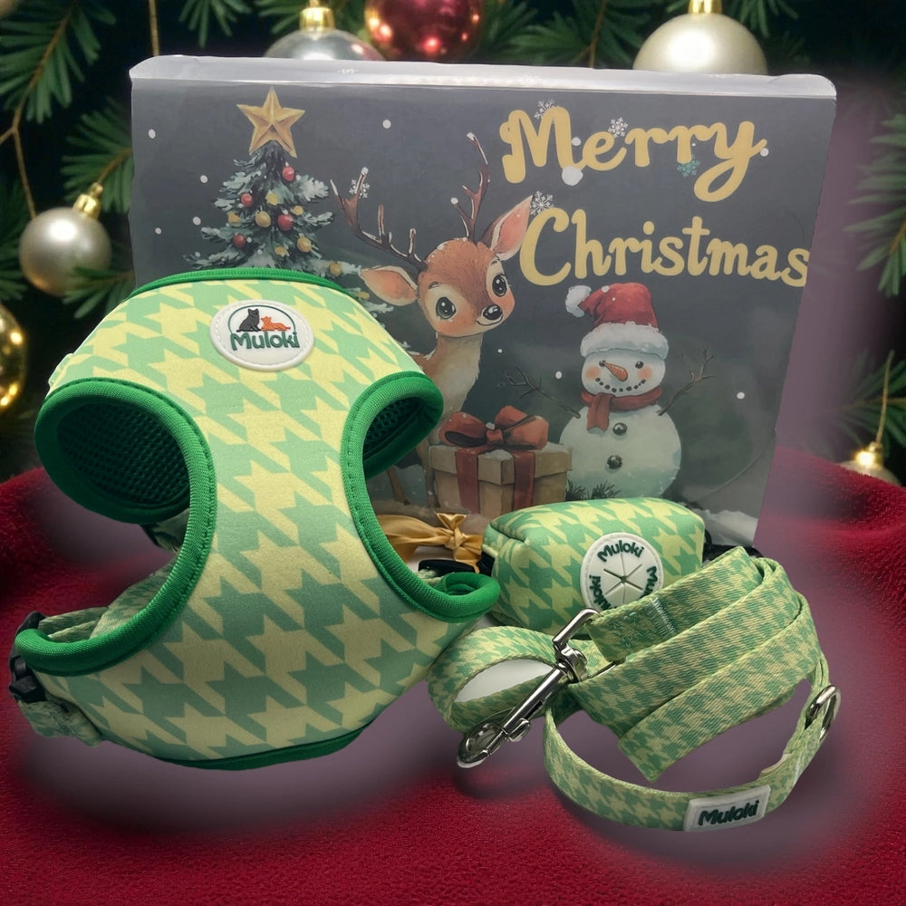 Kit Natale Pettorina Completa Muloki – pettorina classica, guinzaglio e bandana Lola confezione natale