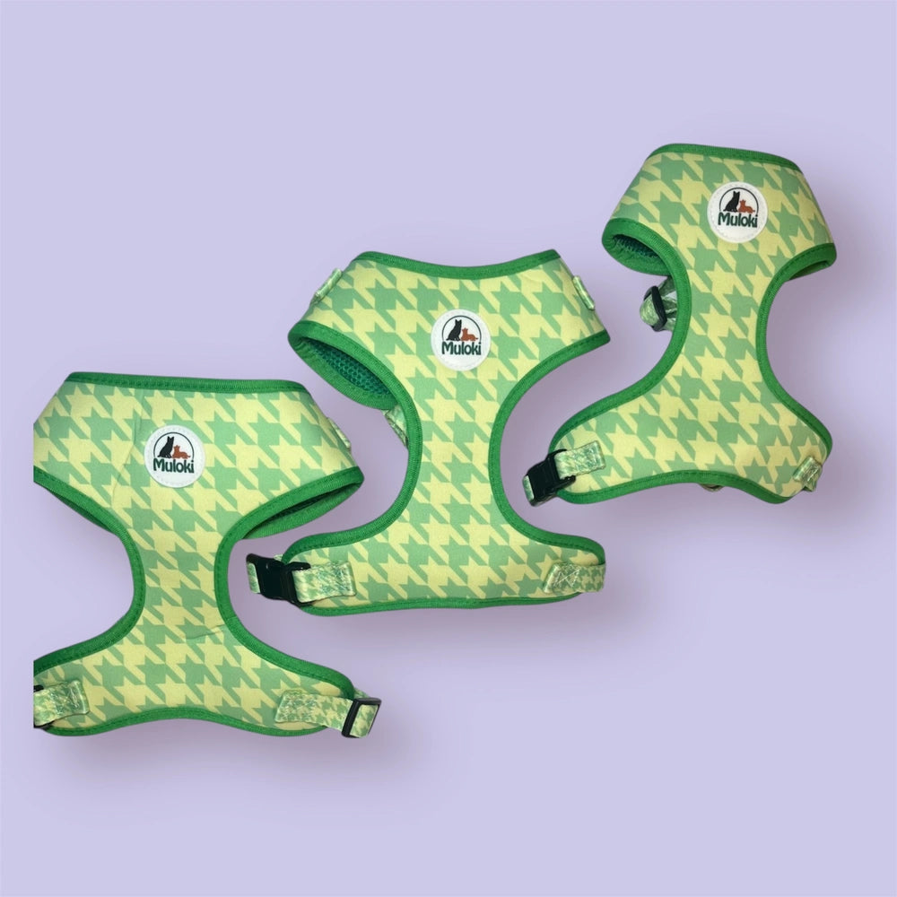 pettorina muloki - immagine di insieme di tre pettorine