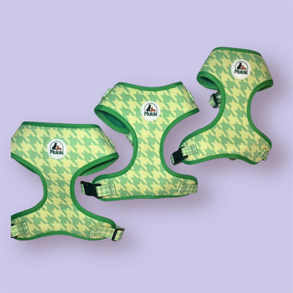 pettorina muloki - immagine di insieme di tre pettorine